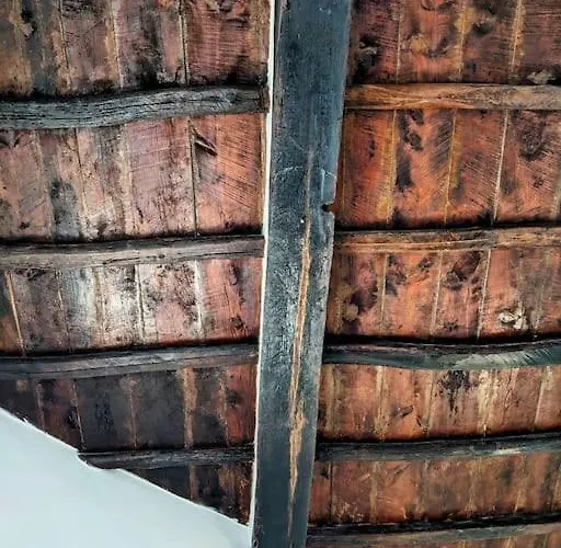 Alcova Delle Arvolte شقة نارني